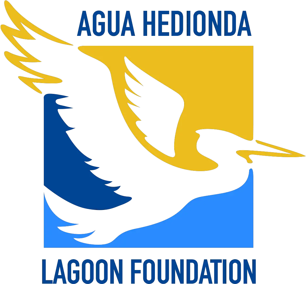 Agua Hedionda Lagoon Foundation Seabird Png Discovery Family Logo