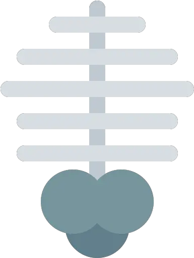 Rib Cage Parallel Png Rib Cage Png