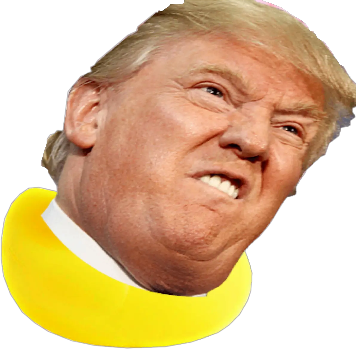 Donald Trump As A Duck Donaldtrump Donald Trump Jacob Zuma Png Trump Head Transparent