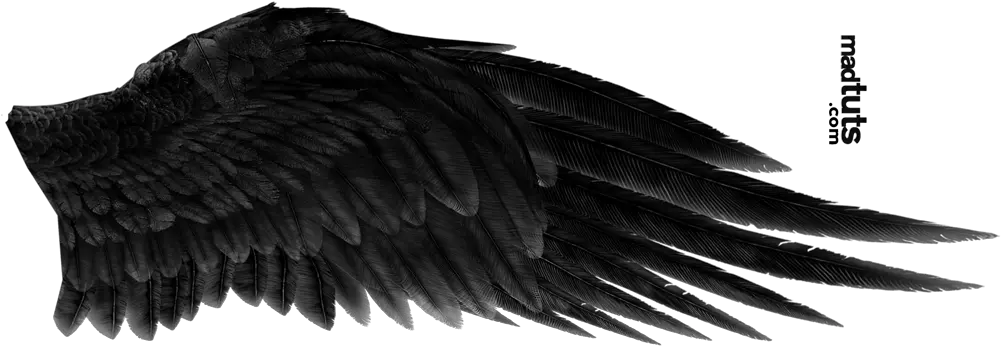 Download Angel Wing Png Black Angel Wings Png Wing Png