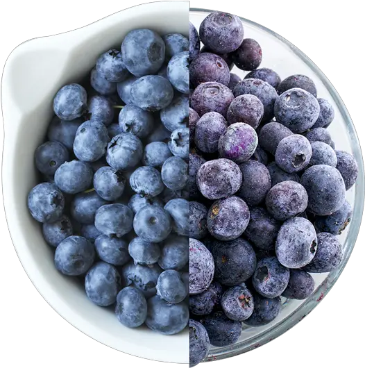 Download Fresh Or Frozen Blueberries Blueberry Png Image Blueberry Blueberry Transparent Background