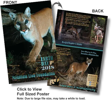 2018 Mountain Lion Earth Day Poster Cougar Png Mountain Lion Png