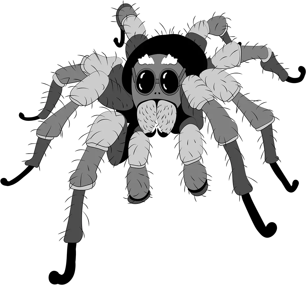 Tarantula Animation Tarantula Png Tarantula Png
