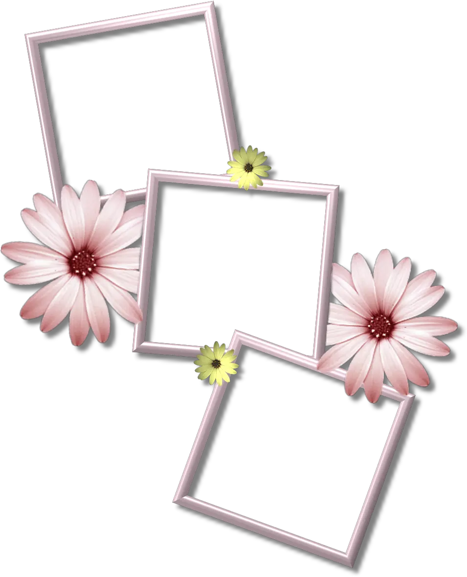Collage Frame Png Hd Pictures Vhvrs Multiple Photo Frame Png Frame Design Png png