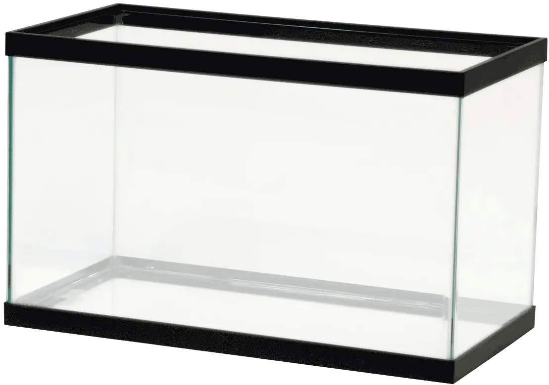 Tank Clipart Rectangular Fish 10 Gallon Fish Tank 10 Gallon Fish Tank Png Tank Png