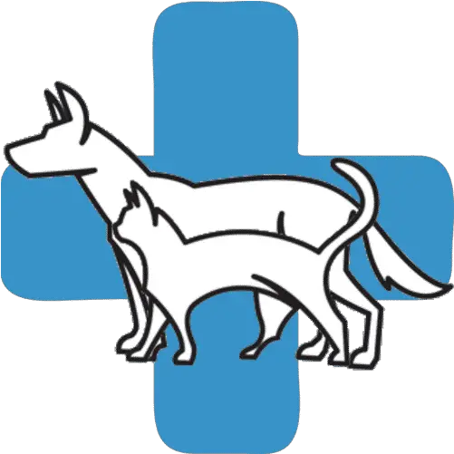 Furry Friends Animal Hospital Vets Near Me Drawing Png Furry Icon