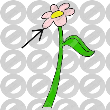 Petals Picture For Classroom Therapy Use Great Petals Floral Png Petals Png