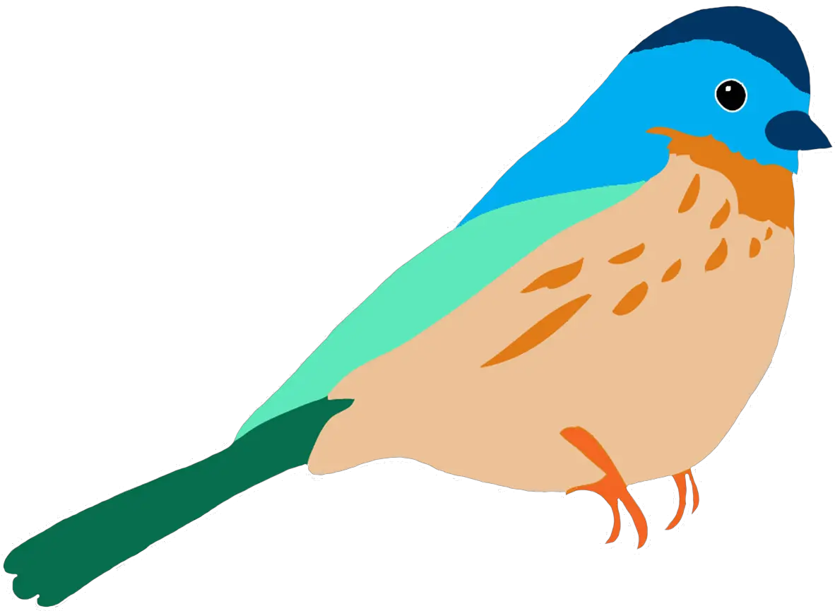 Colorful Drawings Of Birds Birds Drawing For Colouring Png Birds Png png