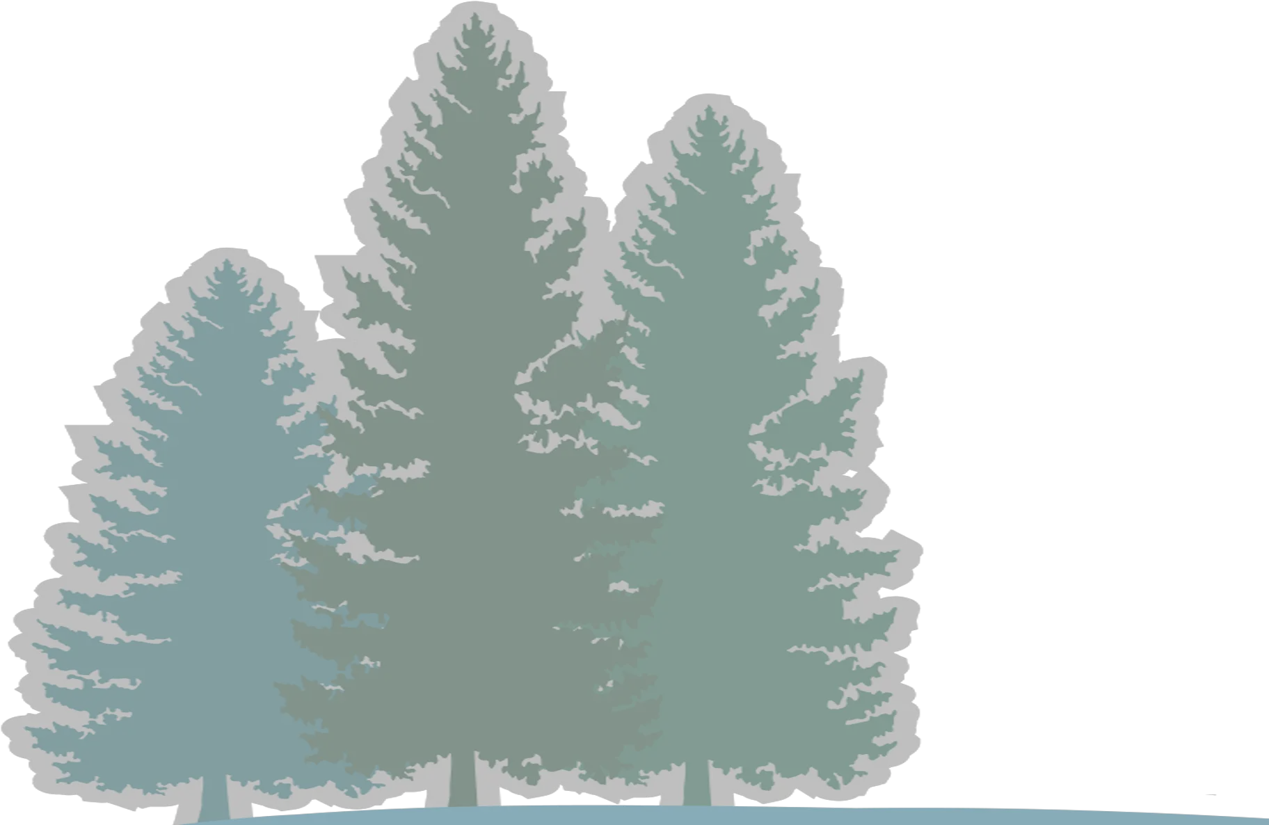 Download Hd Pine River Forest Background Colorado Spruce Christmas Tree Png River Transparent Background