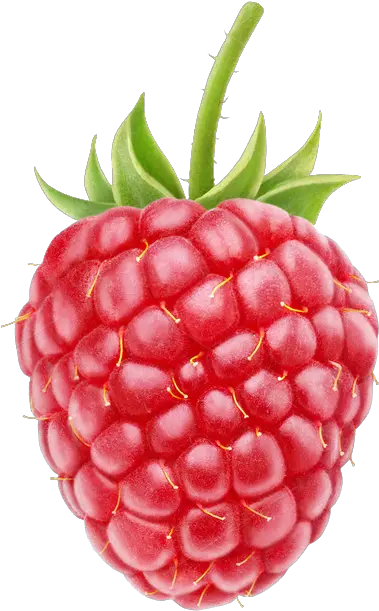 Raspberry Png Transparent Images Raspberry Png Raspberries Png