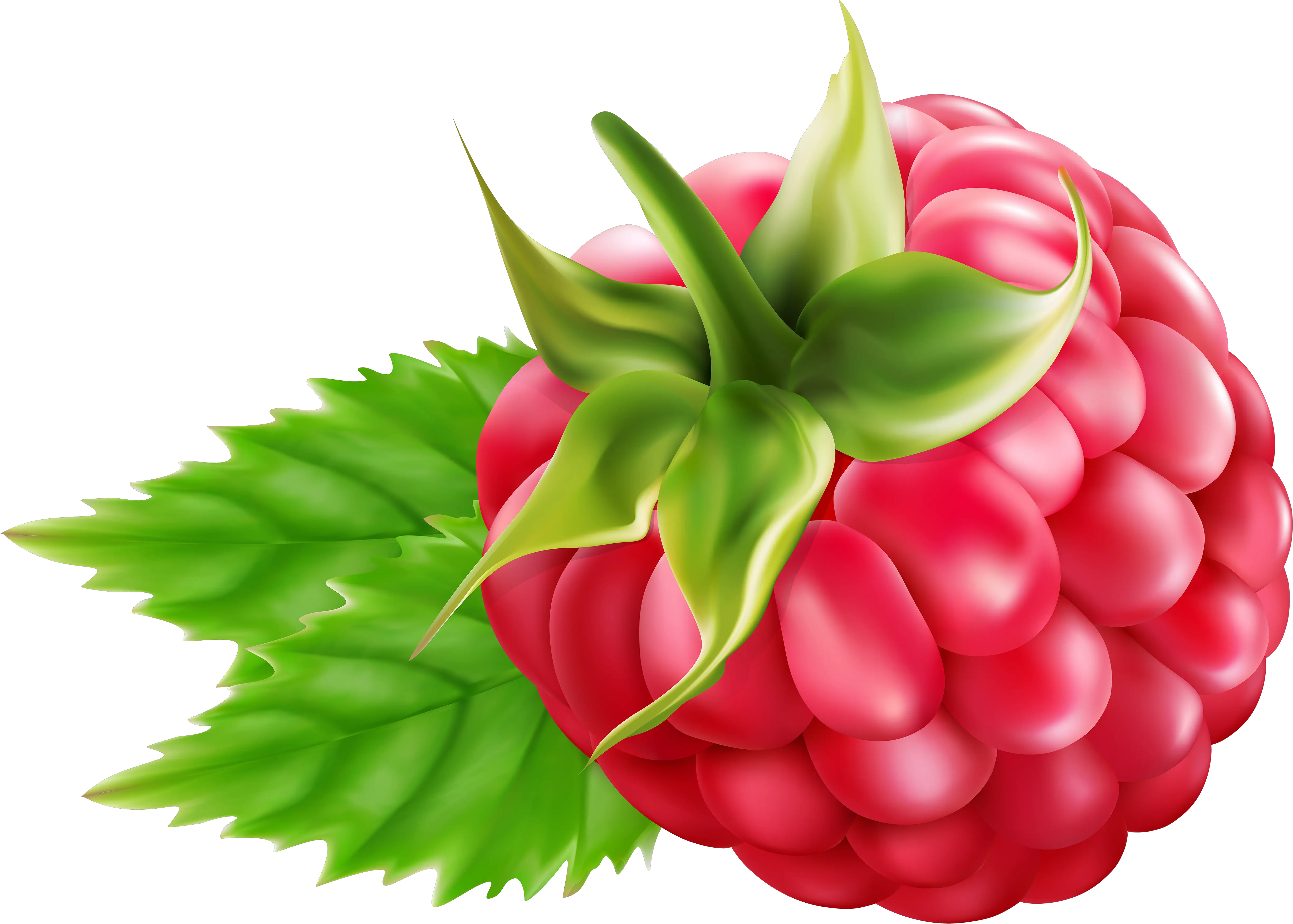 Library Of Svg Freeuse Raspberry Png Raspberry Clipart Png Raspberries Png