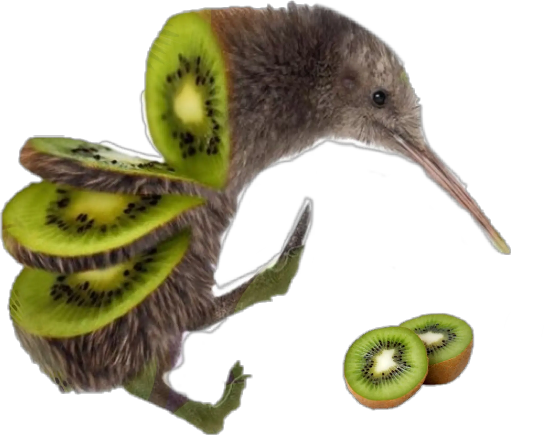 Kiwi Bird Kiwibird Birdkiwi Kiwi Bird Fruit Png Kiwi Bird Png