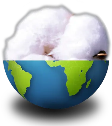 Cotton Experiments In The International Space Station World Globe Png Space Station Png