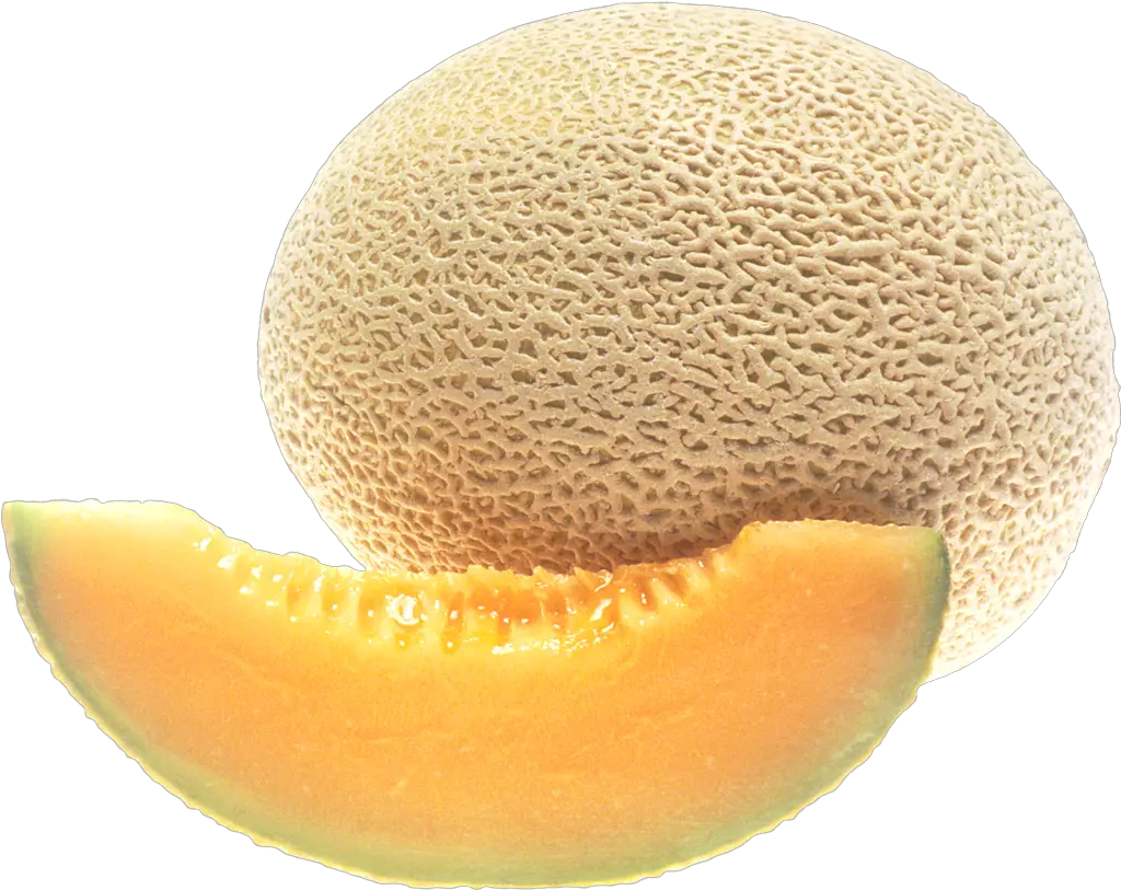 Cantaloupe Png Image Cantaloupe Transparent Background Melon Png