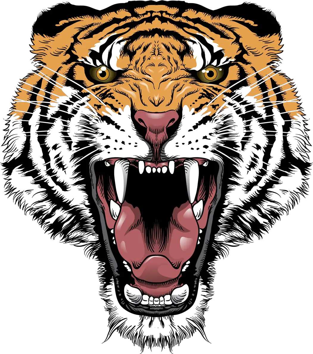 Tiger Lion Roar Big Cat Head Tiger Face Transparent Png Tiger Face Transparent Background Lion Roar Png