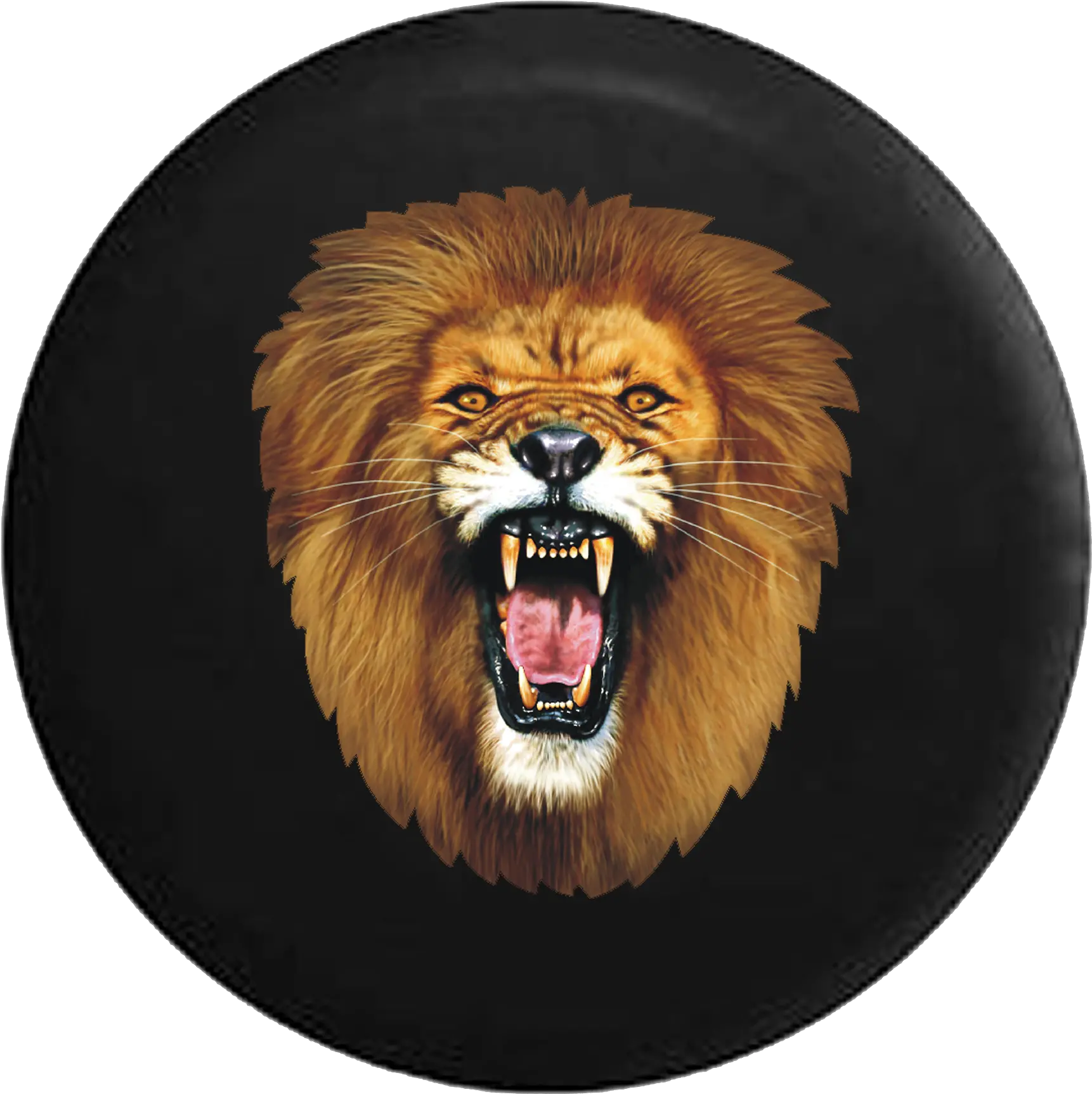 Download Golden African Lion Roaring Rv Camper Spare Tire Roaring Lion Head Transparent Png Lion Roar Png