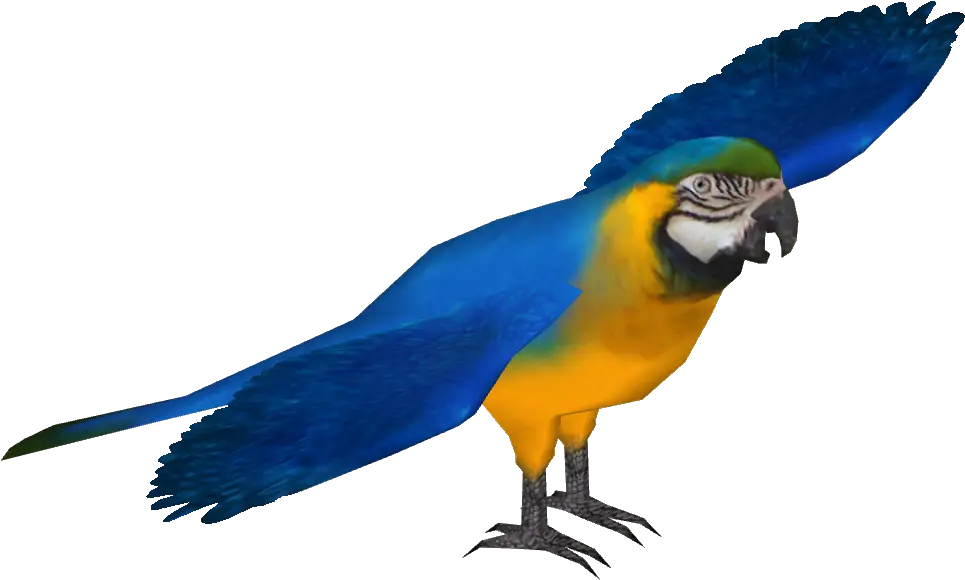 Blue And Gold Macaw Blue Macaw Png Macaw Png