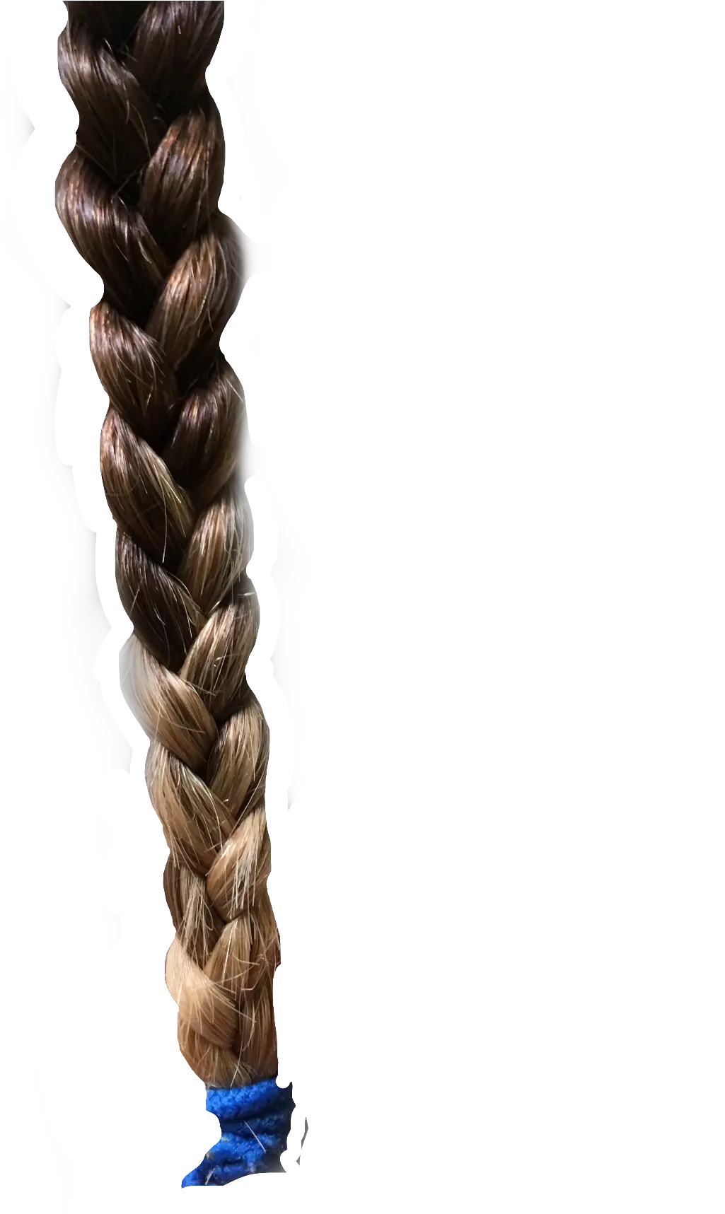 Download Free Png Hd Hair Braid Ombre Interesting Transparent Braid Png Wig Png