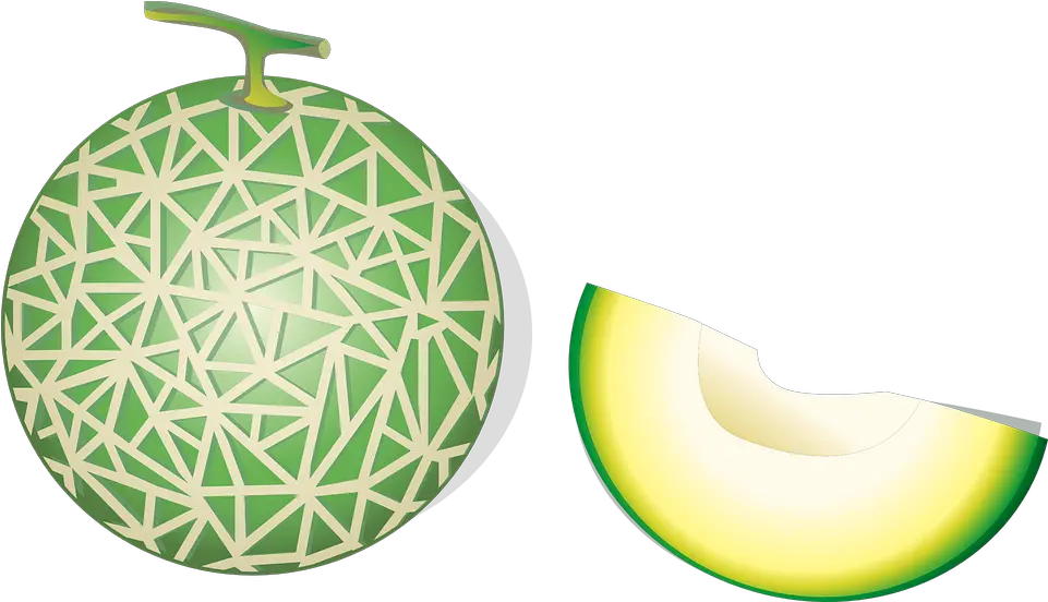 Cantaloupe Hami Melon Free Vector Graphic On Pixabay Melon Vector Png Melon Png