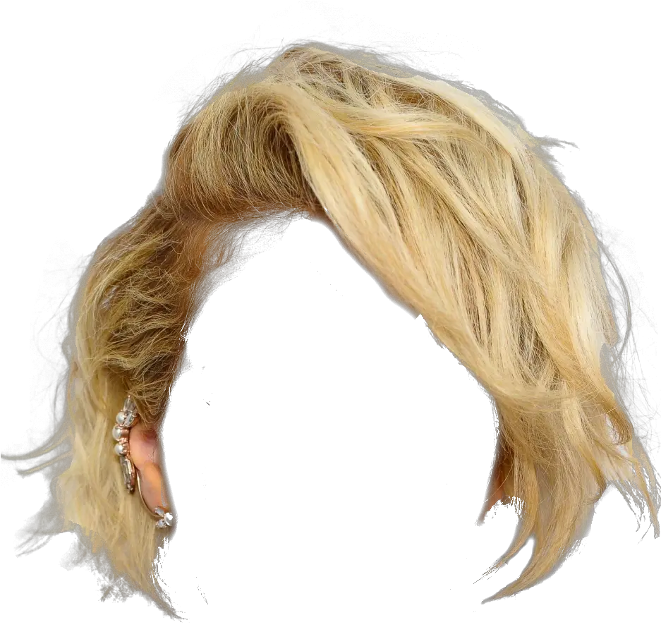 Hair Wig Png Transparent Background