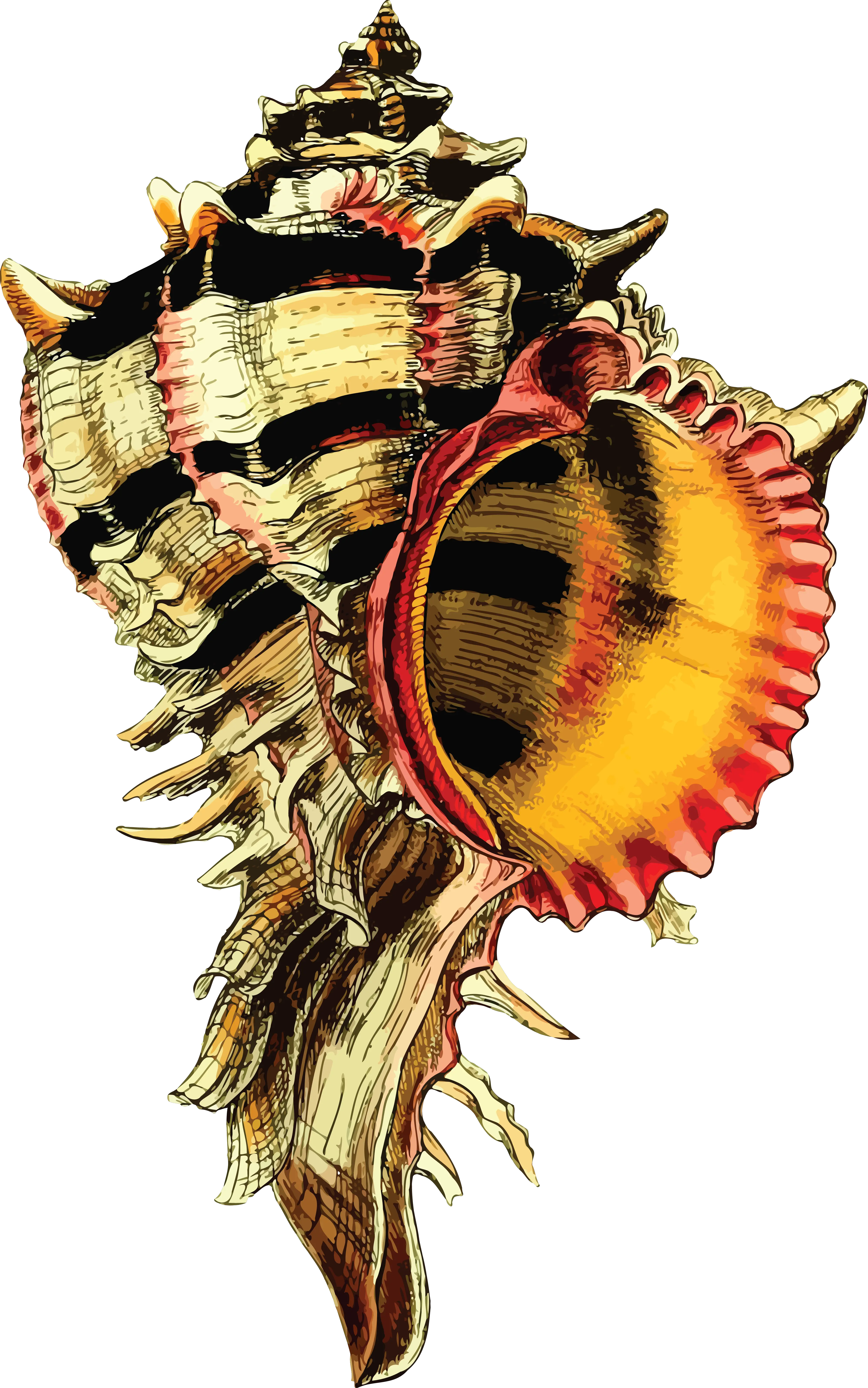 Sea Shells Png This Free Icons Png Design Of Sea Shell 44 Lord Of The Flies One Pager Sea Shell Png