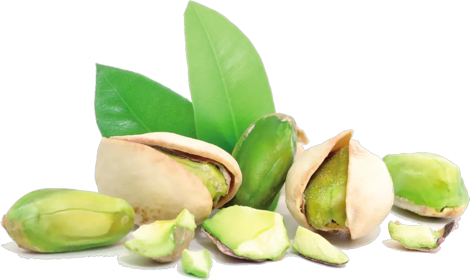Nuts Clipart Pistachio Transparent Free For Pistachio Nuts Png Nuts Png
