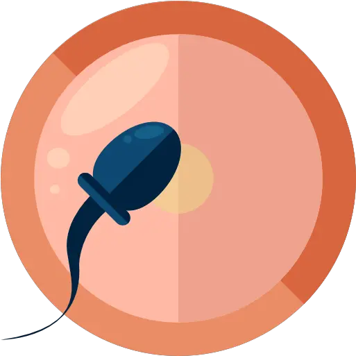 Medical Pregnancy Reproduction Fertilization Icon Png Sperm Png