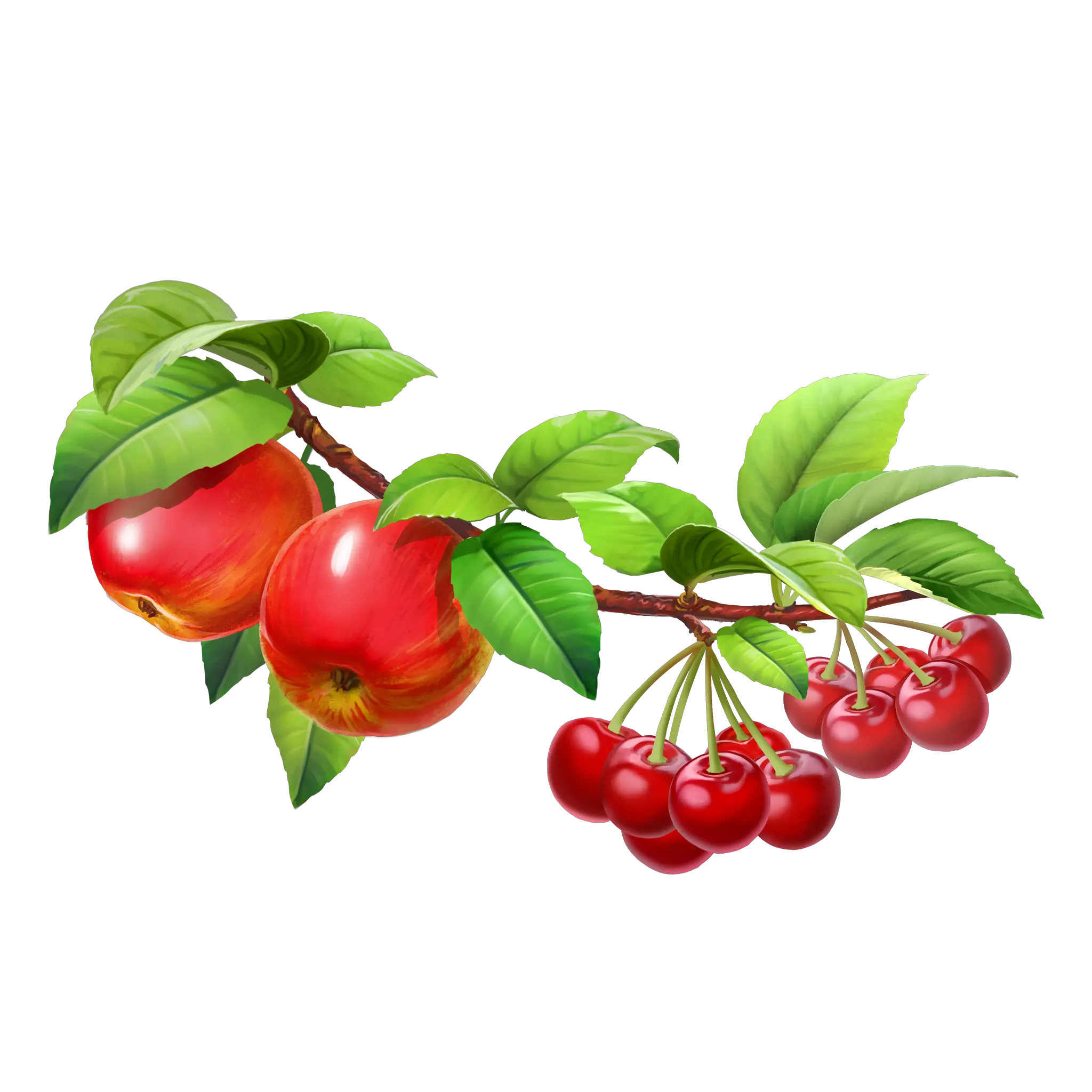 Hd Fruit Tree Png Image Free Tree With Fruits Png Fruit Tree Png png