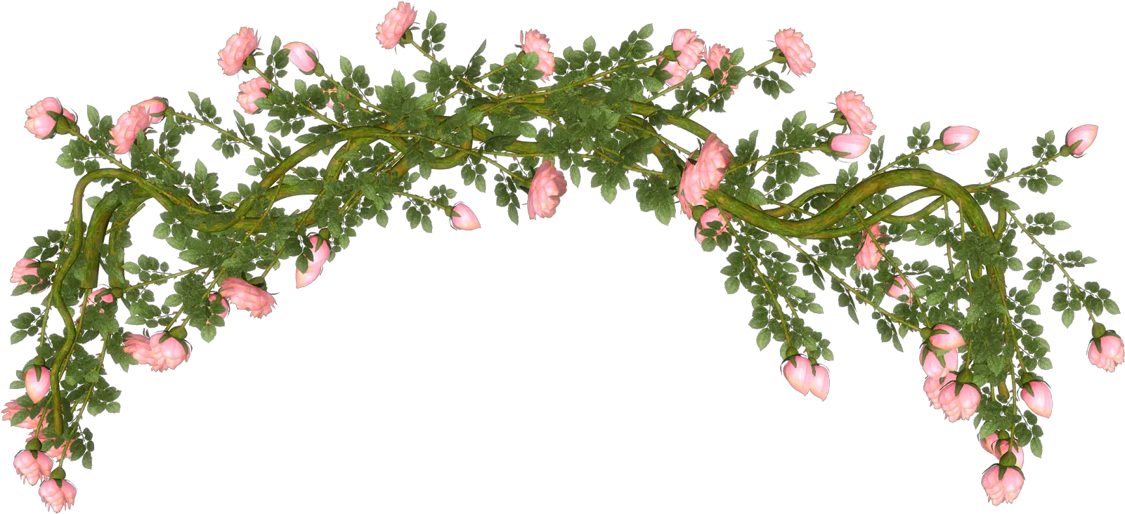 Rosas Rojas Png Rama Florews Png Rosas Rojas Png