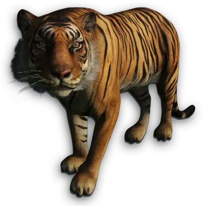 Download Far Cry 4 Tiger Png Image With No Background Sumatran Tiger Far Cry 3 Tiger Png