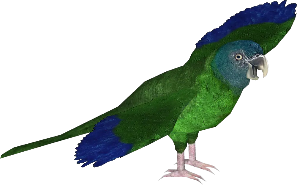 Download Blue Headed Macaw Zt2 Macaw Full Size Png Image Parrots Macaw Png
