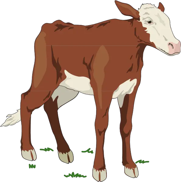 Download Baby Cow Clipart Full Size Png Image Pngkit Clip Art Cow Baby Png Cow Clipart Png