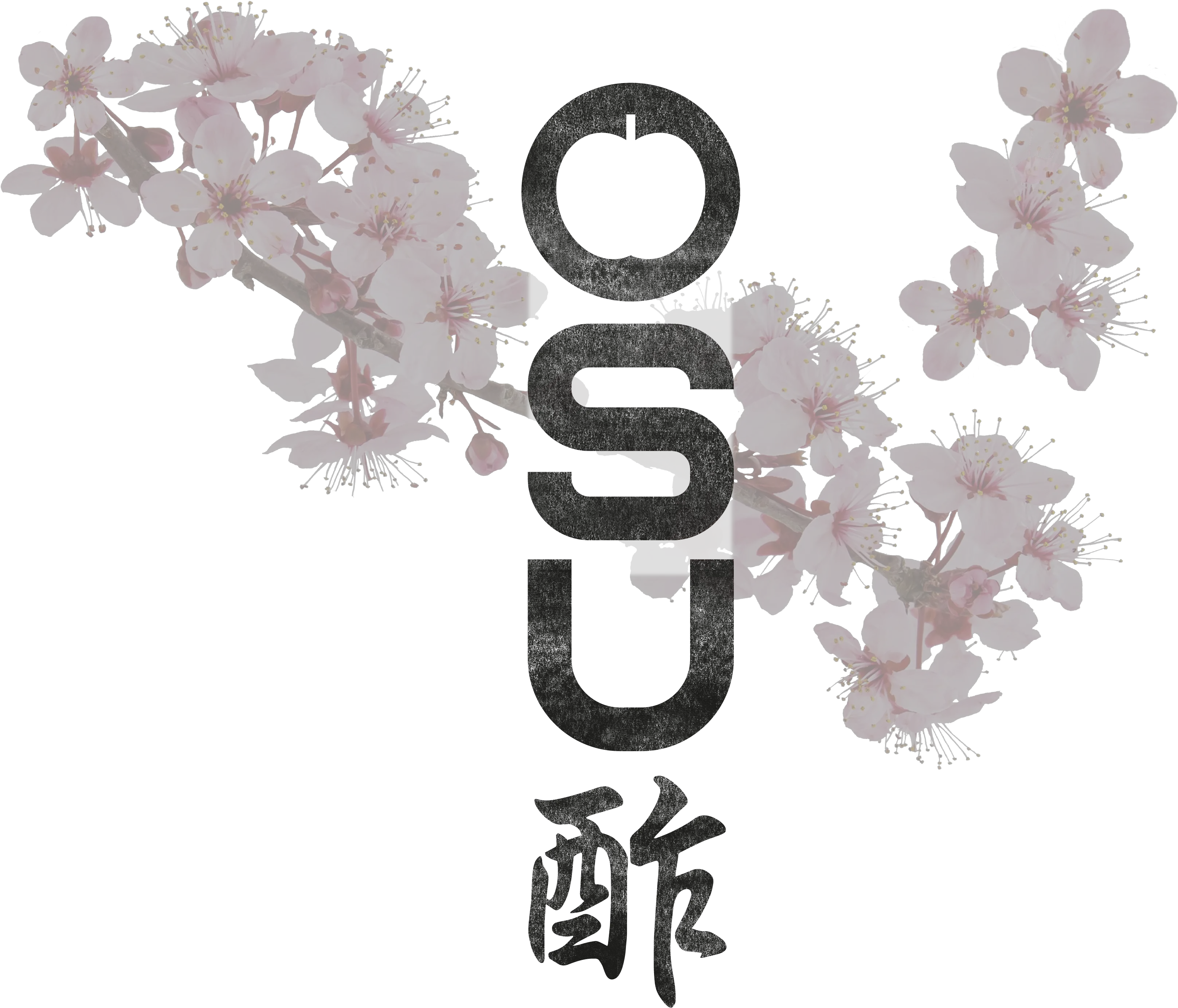 This Way Up Osu Apple Cider Vinegar Png Osu Logo Transparent