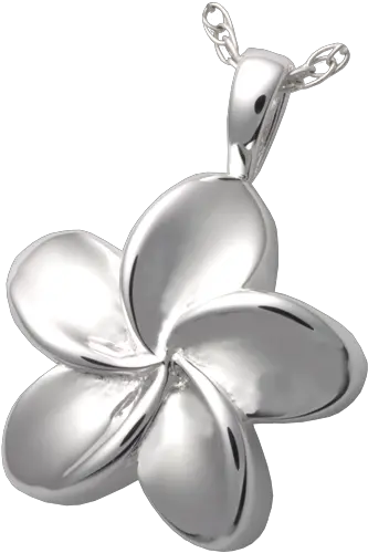 Plumeria Flower Cremation Pendant Locket Png Plumeria Flower Png