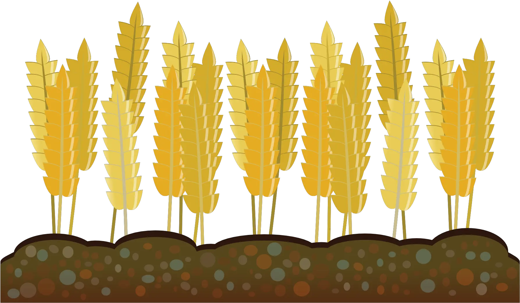 Vector Freeuse Agriculture Clipart Crop Crop Clipart Png Crops Png