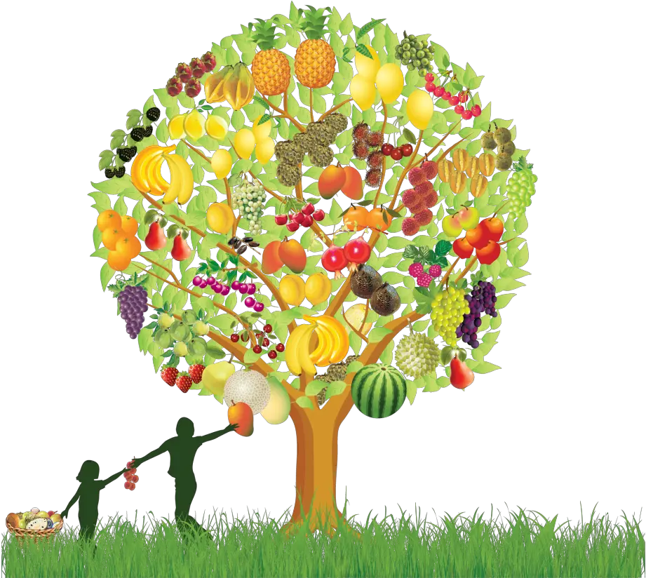 Fruit Tree Png Image With No Background Transparent Fruit Tree Png Fruit Tree Png png
