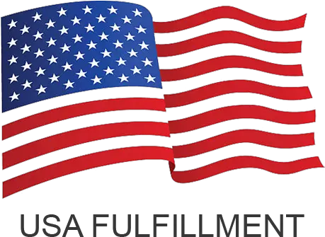 Website Builder Developer In San Diego Google Ads American Flag Clipart Usa Png United States Flag Mini Icon