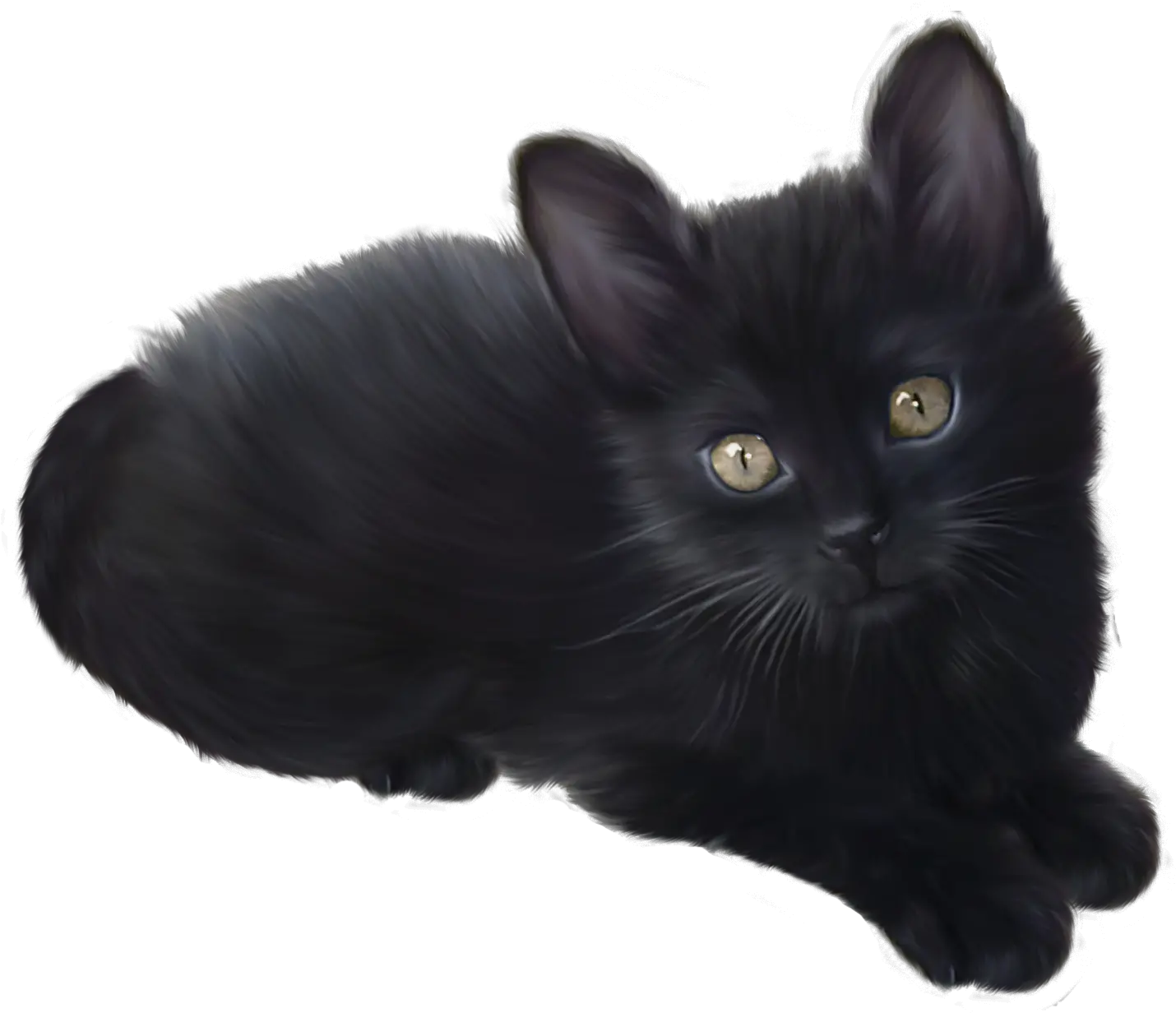 Kitten Png Transparent Images All Black Kitten Png Cats Transparent