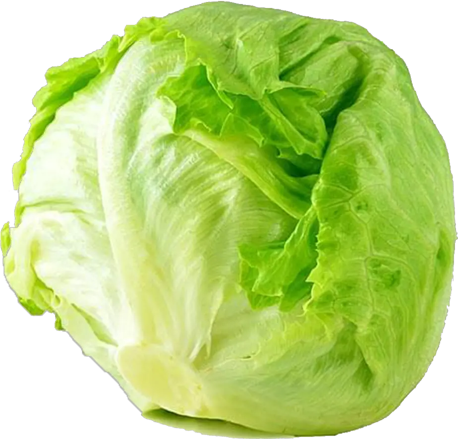 Cabbage Png Transparent File Real Iceberg Lettuce Png Cabbage Png