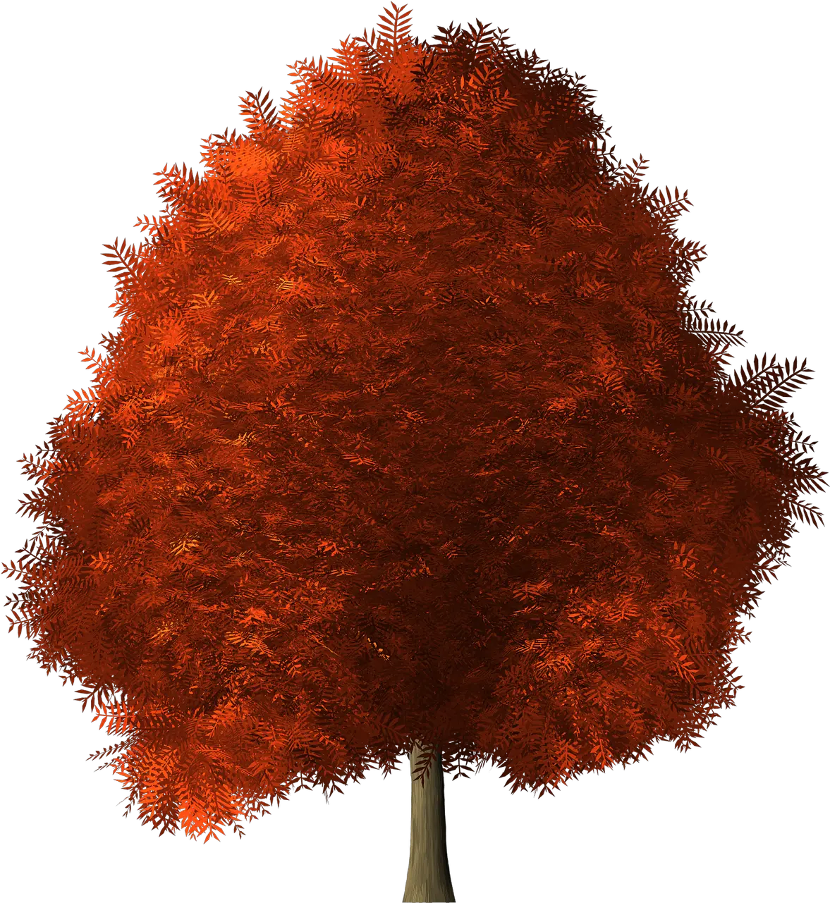 Red Wig Png Maple Tree Transparent Background 4795474 Maple Wig Transparent Background