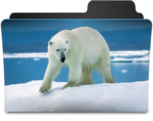 Icebaer Icon Goodies Folder Icons Softiconscom Happy Polar Bear On Ice Png Ice Bear Icon