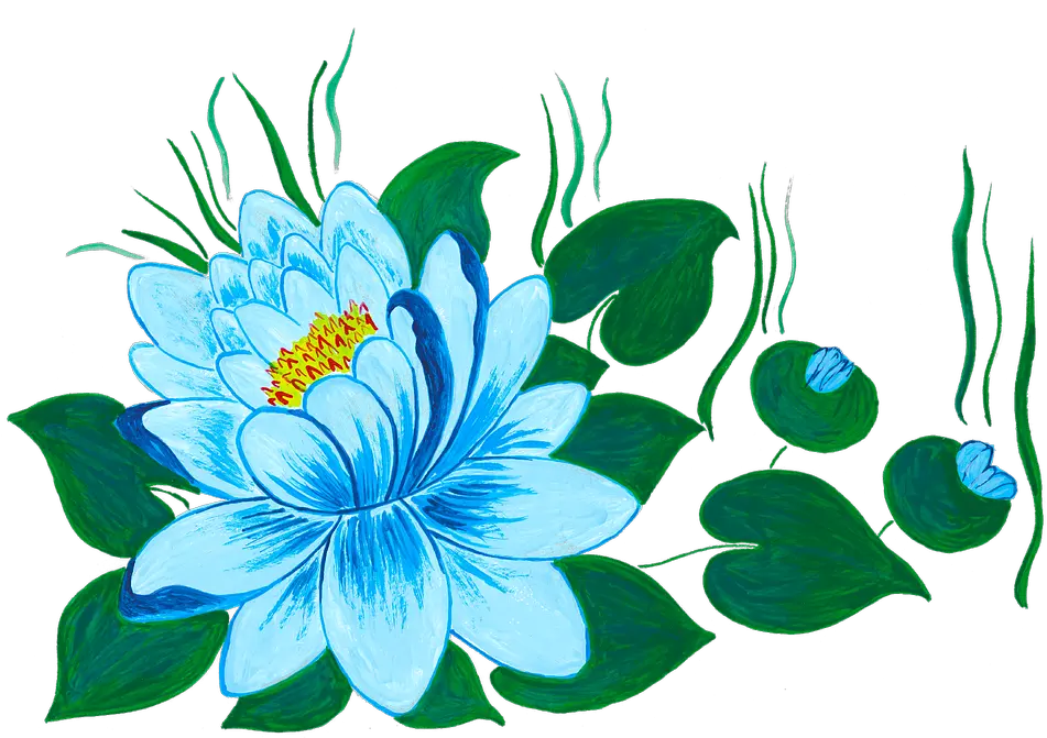 Waterlily Water Lilies Free Vector Graphic On Pixabay Nymphaea Nelumbo Png Blue Flower Icon