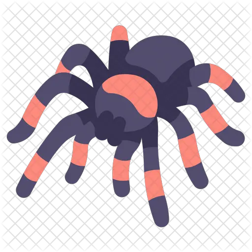 Tarantula Icon Of Flat Style Insect Png Tarantula Png