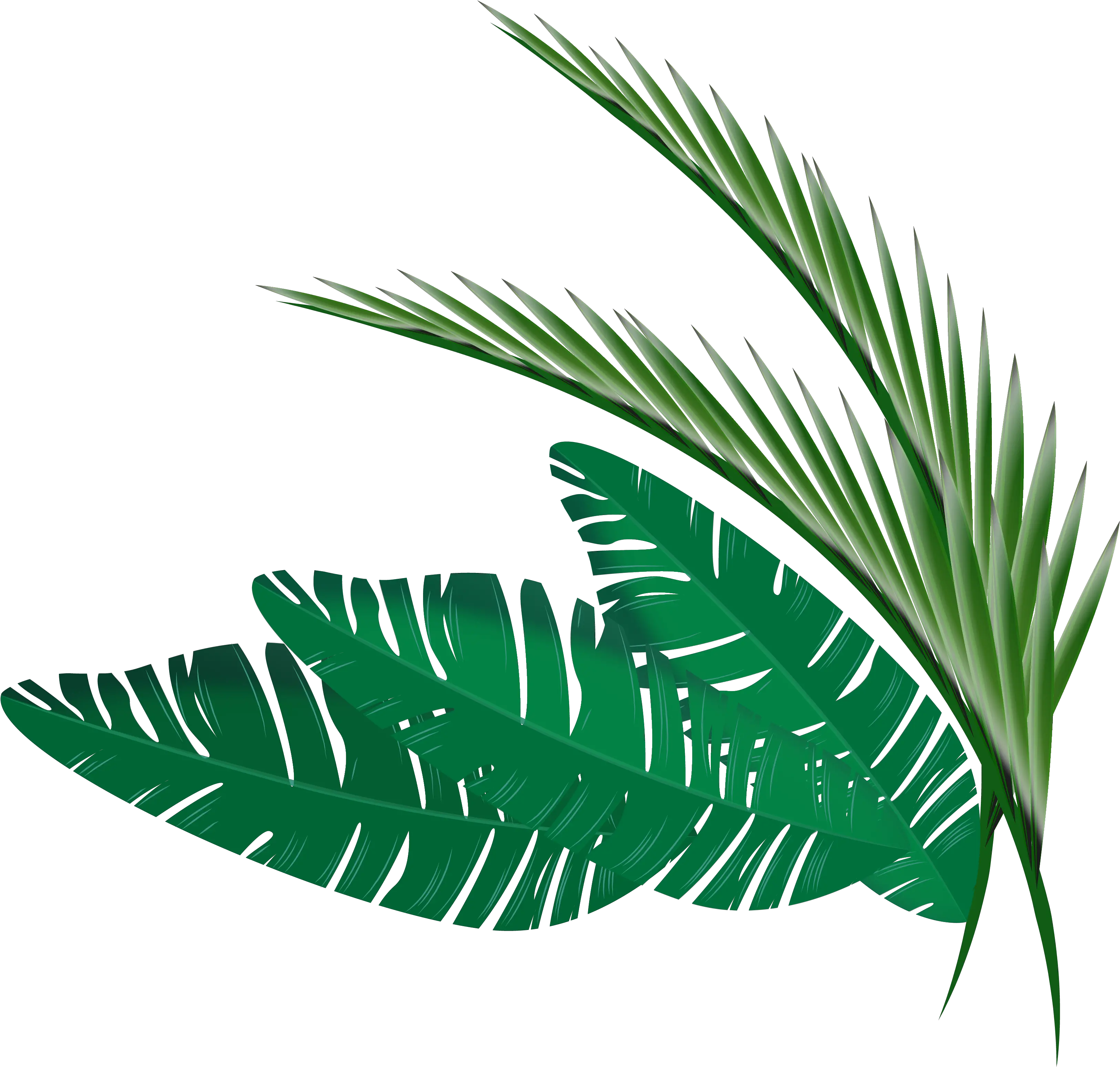 Transparent Leaf Border Png Clipart Transparent Tropical Leaf Png Leaf Border Png png