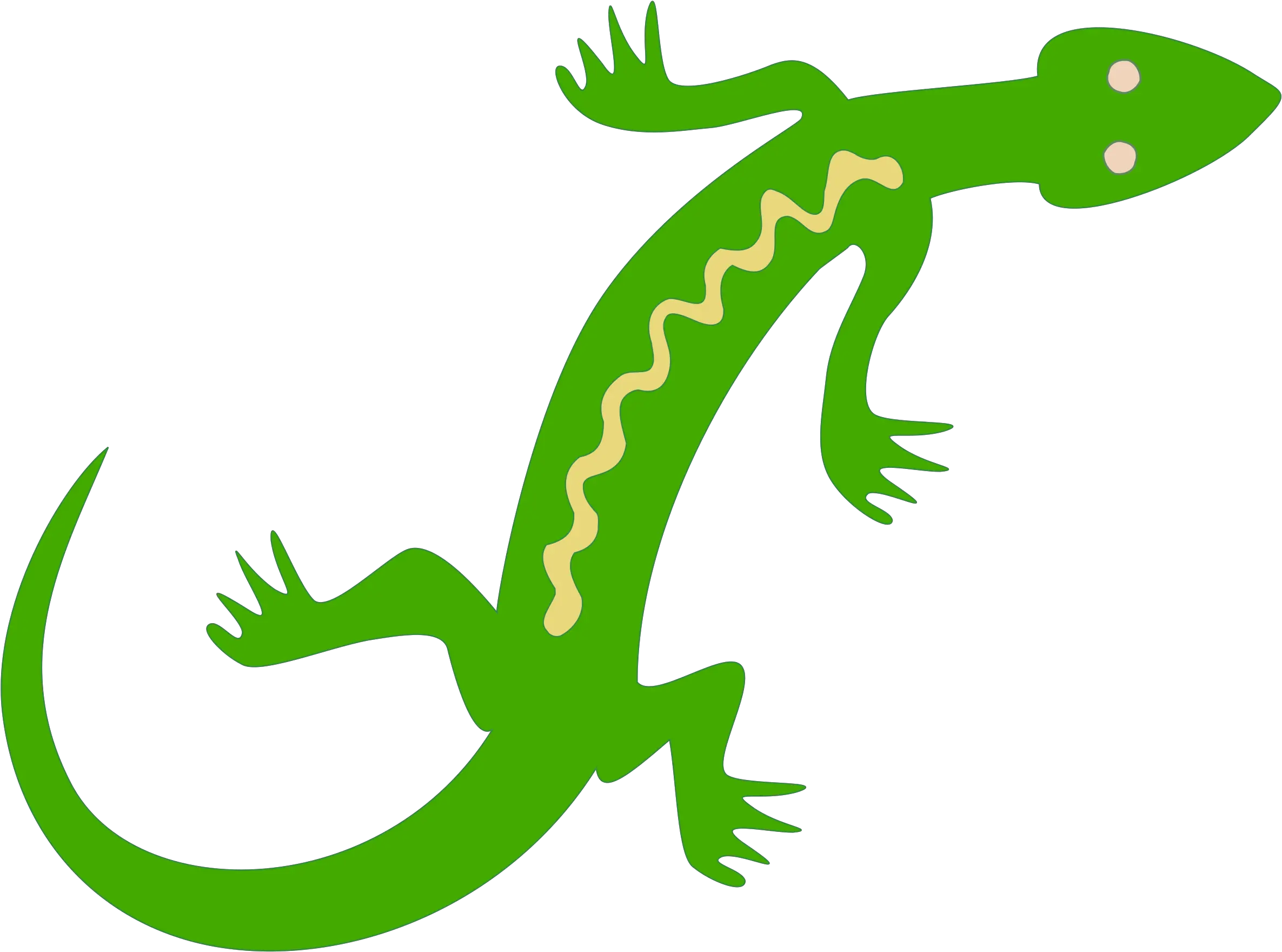 Lizard Reptile Salamander Lacertids Gecko Lizard Clipart Transparent Salamander Clipart Png Reptiles Png