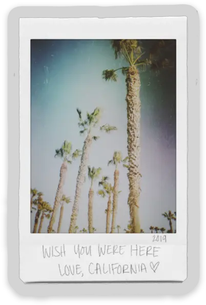 Wish You Were Here Polaroid Sticker Png