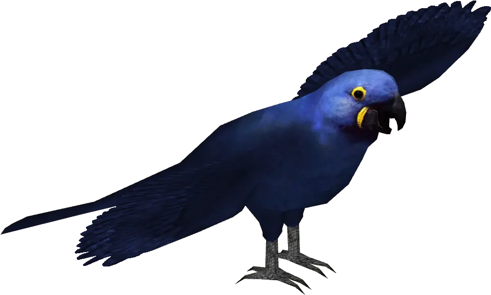Hyacinth Macaw Png Transparent Hyacinth Macaw Transparent Background Macaw Png