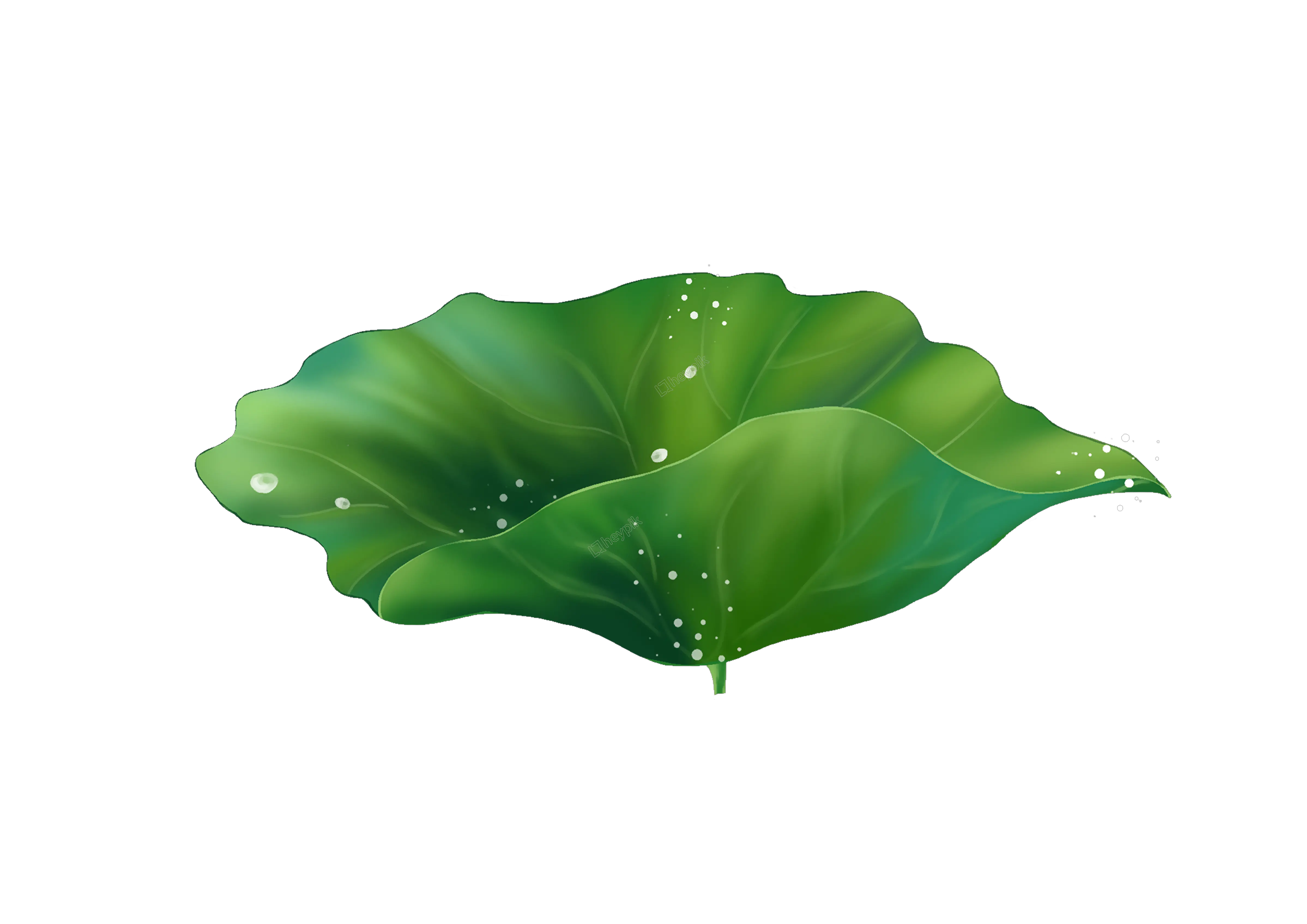 Cartoon Exquisite Lotus Leaf Decoration Lotus Leaf Vector Png Leaf Cartoon Png png