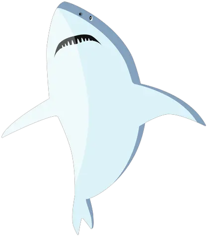 Transparent Png Svg Vector File Great White Shark Shark Fin Png