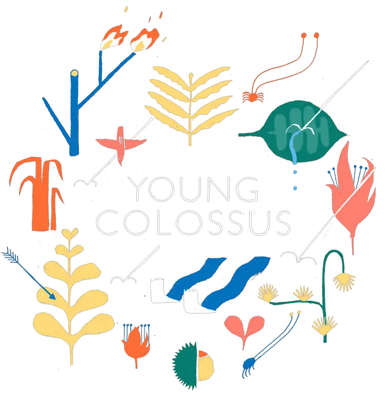 Colossus Png Decorative Colossus Png